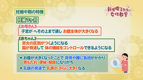 妊娠中期の特徴 新堀曜子先生の女性教室 Tku テレビ熊本