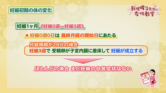 妊娠初期の体の変化 新堀曜子先生の女性教室 Tku テレビ熊本