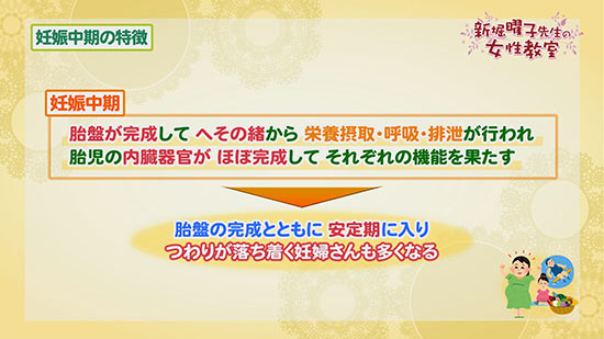 妊娠中期の特徴 曜子先生の女性教室 Tku テレビ熊本