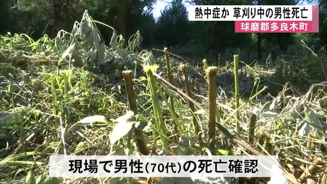 熱中症か　球磨郡多良木町の林で草刈り中の男性死亡