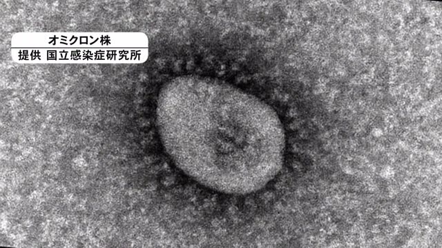 熊本県内で新型コロナの感染者数が７週連続増加　...