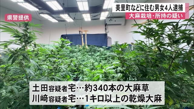 大麻の栽培・所持の疑いで男女４人逮捕【熊本】