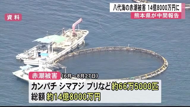 八代海の赤潮被害　１４億８０００万円に【熊本】