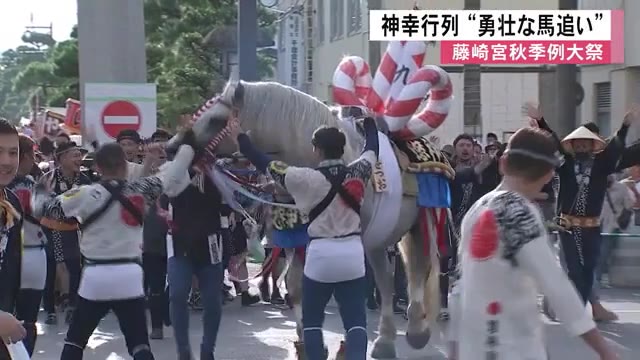 藤崎八旛宮秋季例大祭 神幸行列「勇壮な馬追い」【熊本】