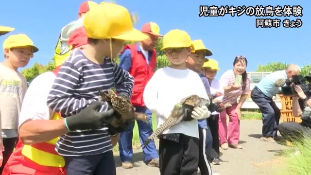 児童がキジの放鳥体験【熊本】