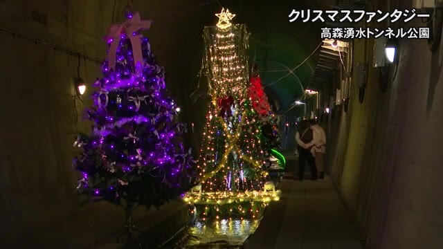 昼間でも楽しめる！高森湧水トンネル クリスマスファンタジー【熊本】