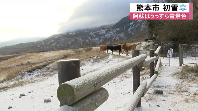 熊本市で初雪　阿蘇の小学生「雪だるま作りたい」